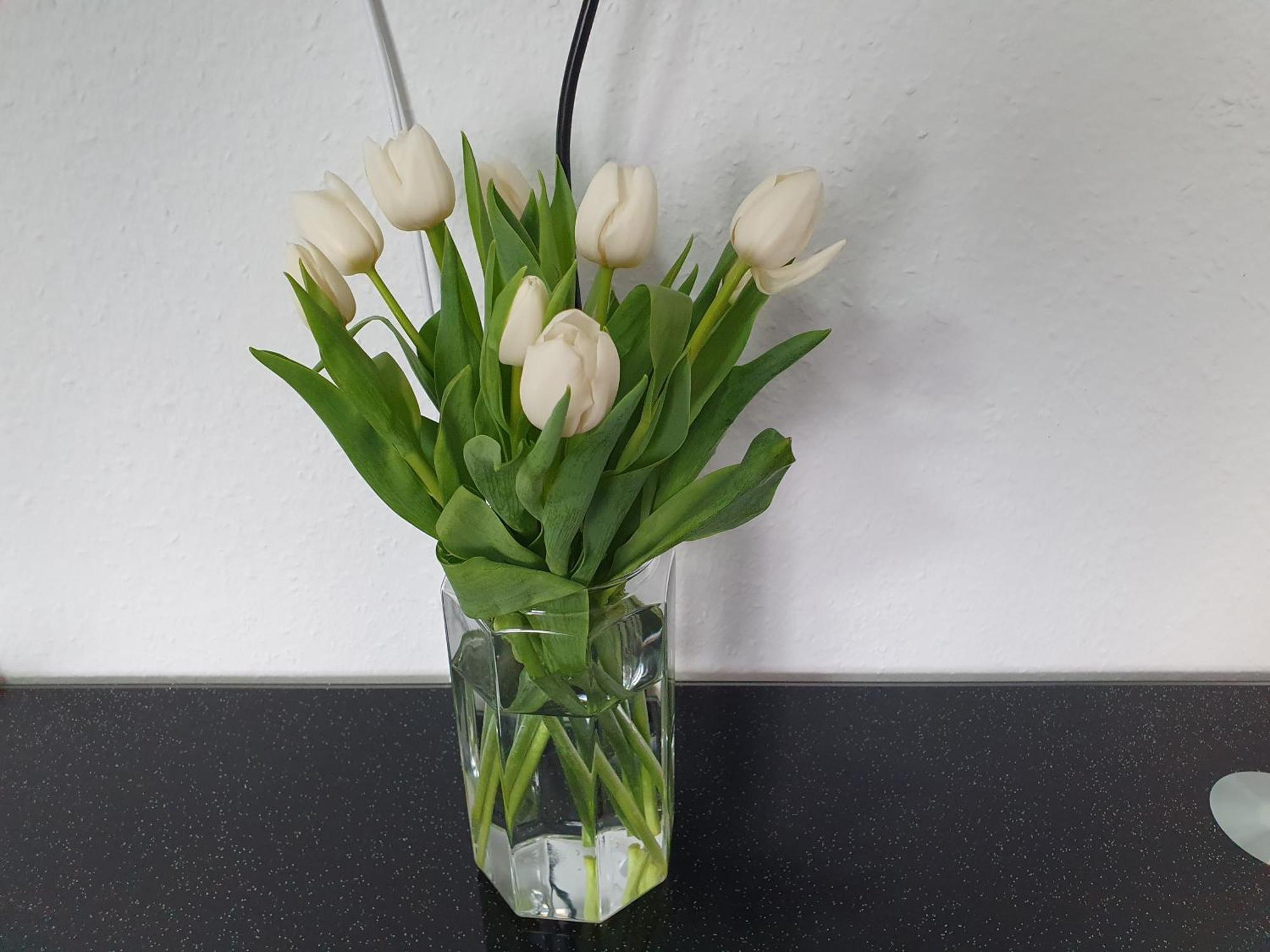 Weingarten Appartement